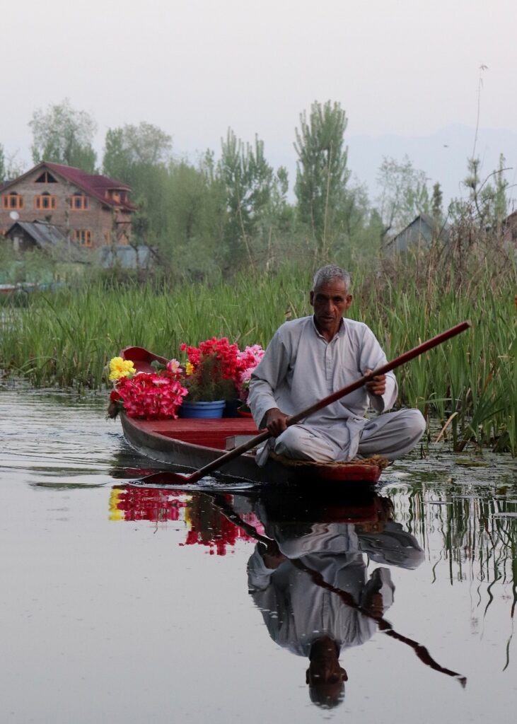 dal lake, asia, vendor-7182417.jpg